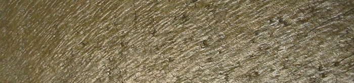 Podobný druh křemene jako DG, ale s jemným zlatavým celoplošným zbarvením a typickým reliéfem.