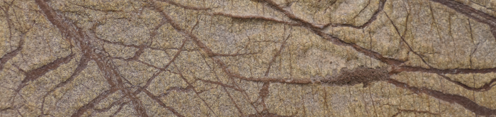 Atraktivní druh mramoru se vzorem zkamenělých lián a kořenů. 
